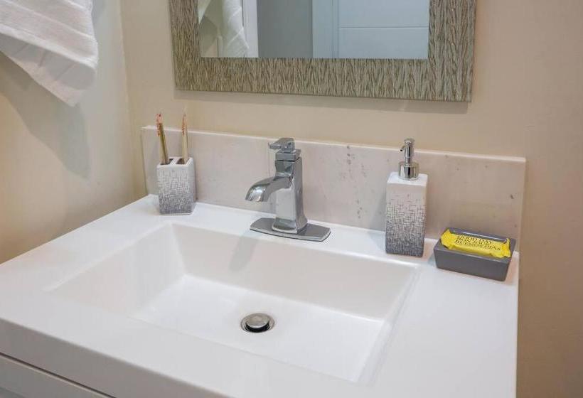 ユースホステル Explore Balboa Park From Your Cozy Studio W Patio