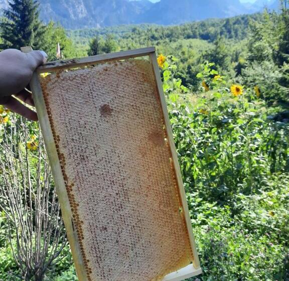 צימר Guest House Hyrmet Demushi