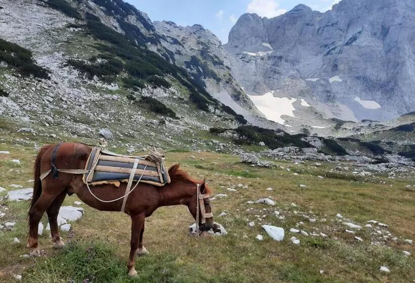 Aamiaismajoitus (B&B) Guest House Hyrmet Demushi