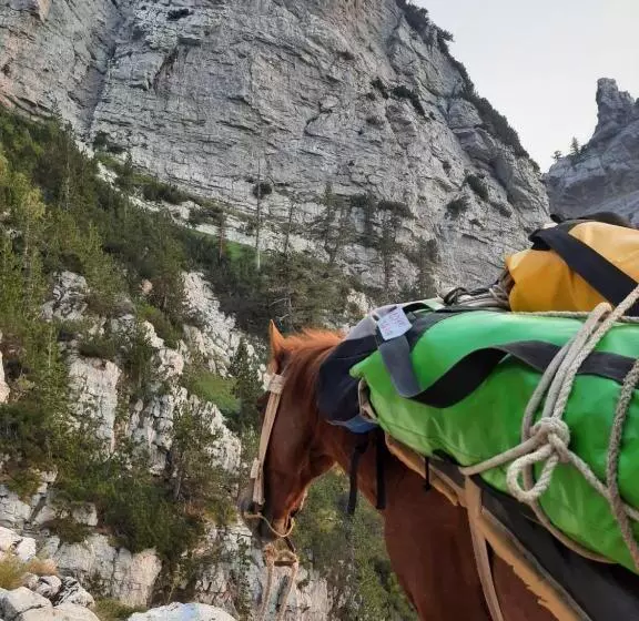 Aamiaismajoitus (B&B) Guest House Hyrmet Demushi