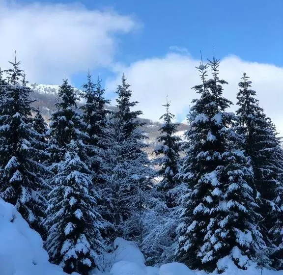 Aamiaismajoitus (B&B) Guest House Hyrmet Demushi