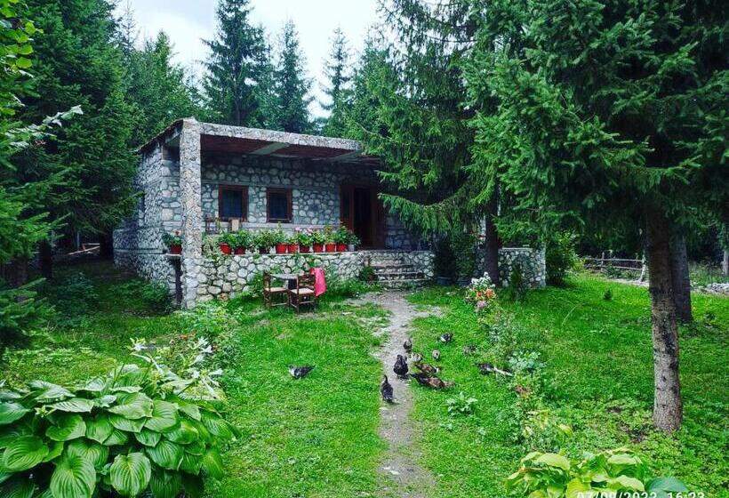 צימר Guest House Hyrmet Demushi