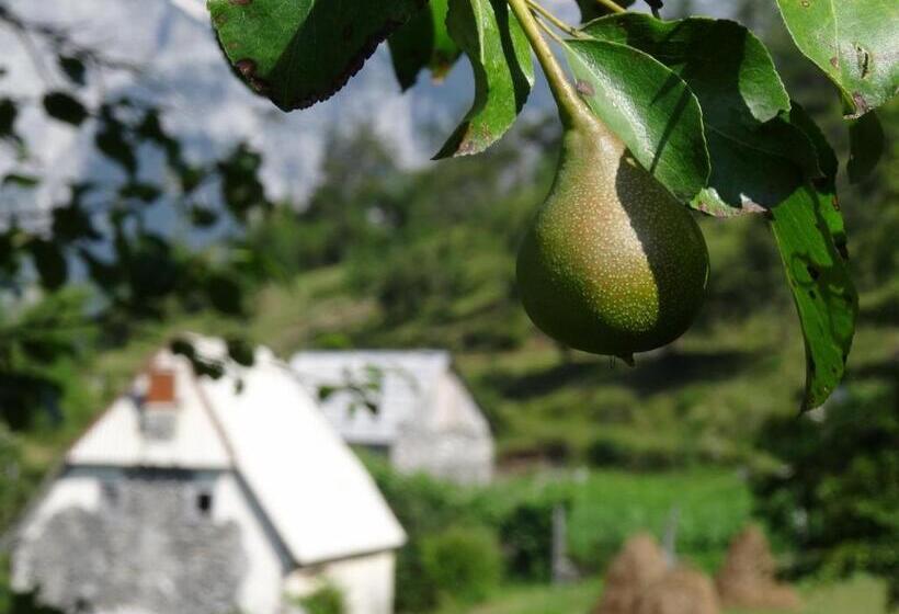 צימר Guest House Hyrmet Demushi