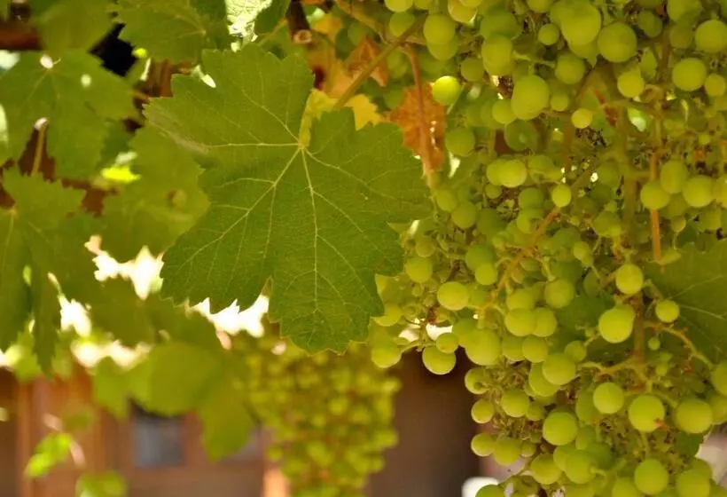 ホテル Boutique Casona Violeta