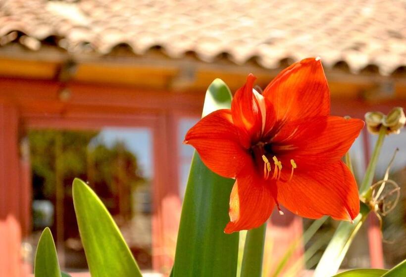 Hôtel Boutique Casona Violeta