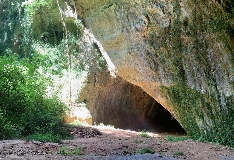 Bed and Breakfast La Magnanerie De Dions