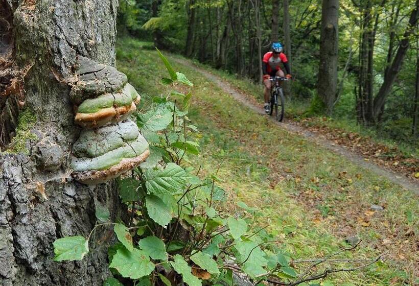 Boutique Hotel Siglisberg