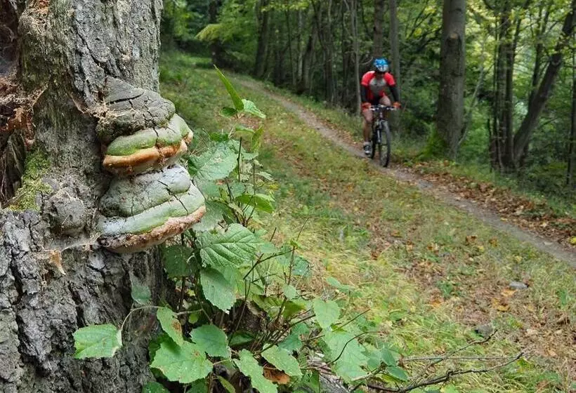 Boutique Hotel Siglisberg