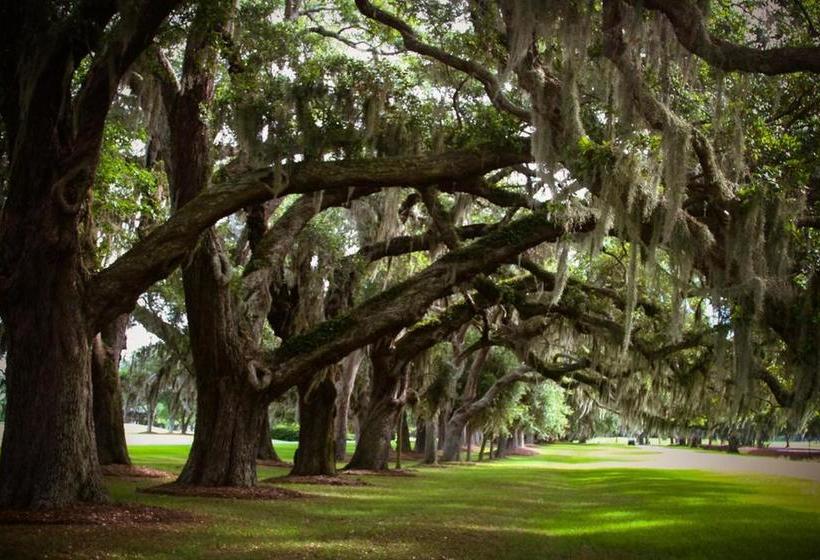 Hotel 400 Ocean Suites By Lighthouse Vacations