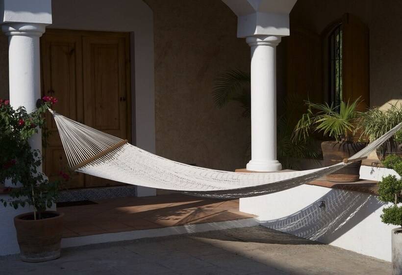 فندق La Casona De Los Colibríes