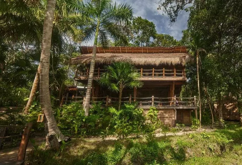 Hotelli Our Habitas Bacalar - Adults Only