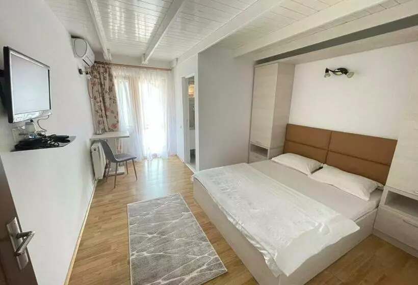 ホテル Pensiunea Deian Clisura Dunării