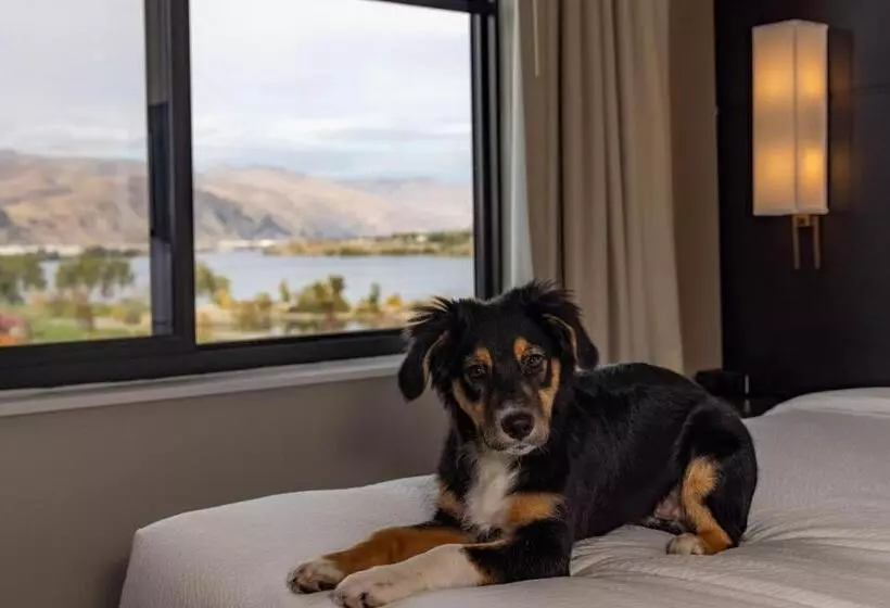 ホテル Residence Inn By Marriott Wenatchee