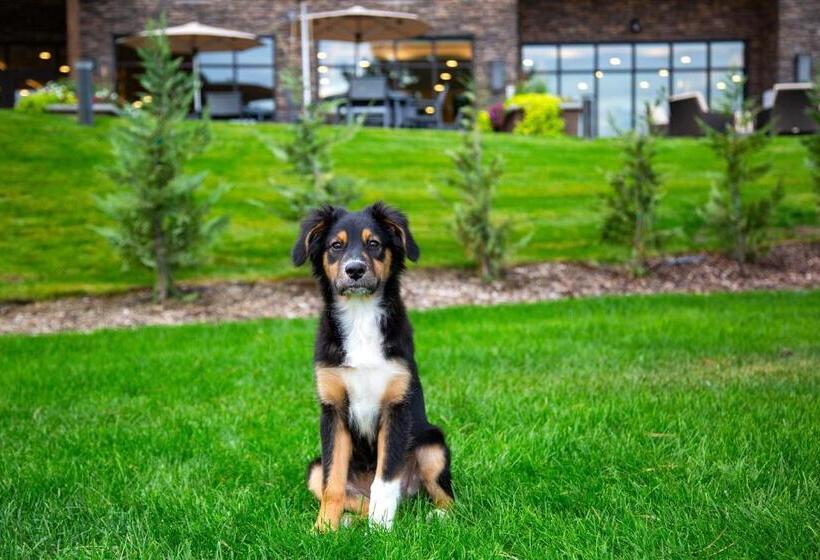 ホテル Residence Inn By Marriott Wenatchee