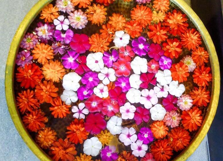 Welcomhotel By Itc Hotels, Katra