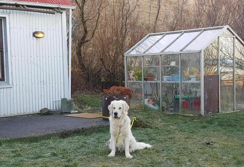 پانسیون Prestshús 2 Guesthouse