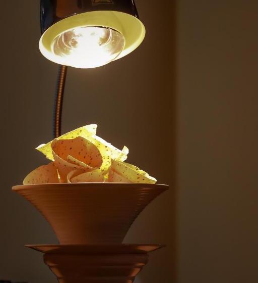 Playotel Premier Guna