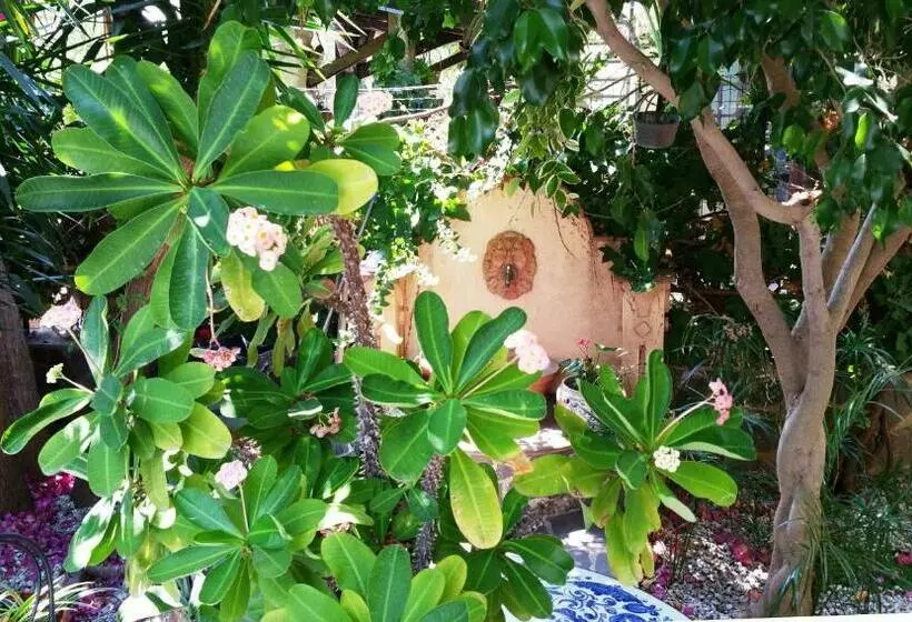 B&b Le Terrazze