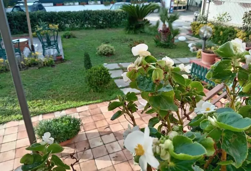 B&b Villamariascauri