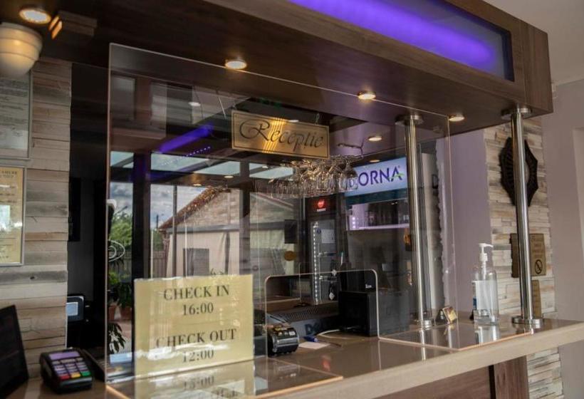 بنسيون Bello Lounge