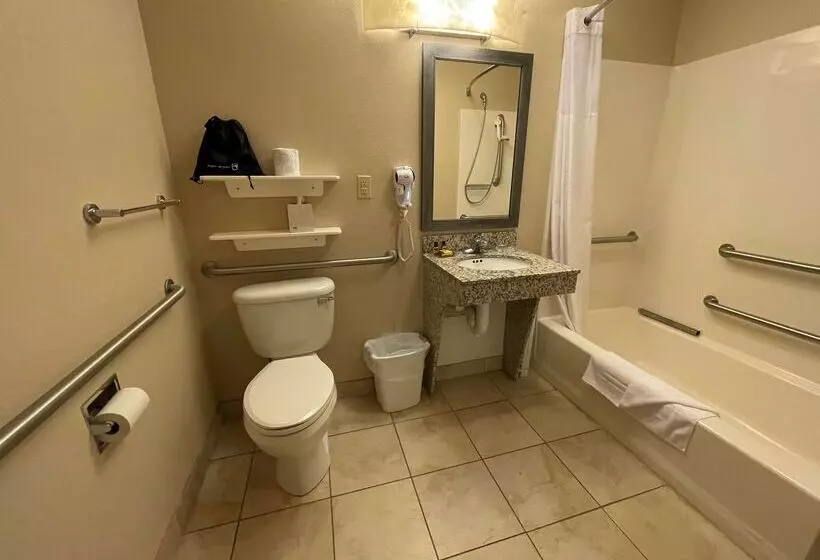 ホテル Best Western Plus Wausau Rothschild