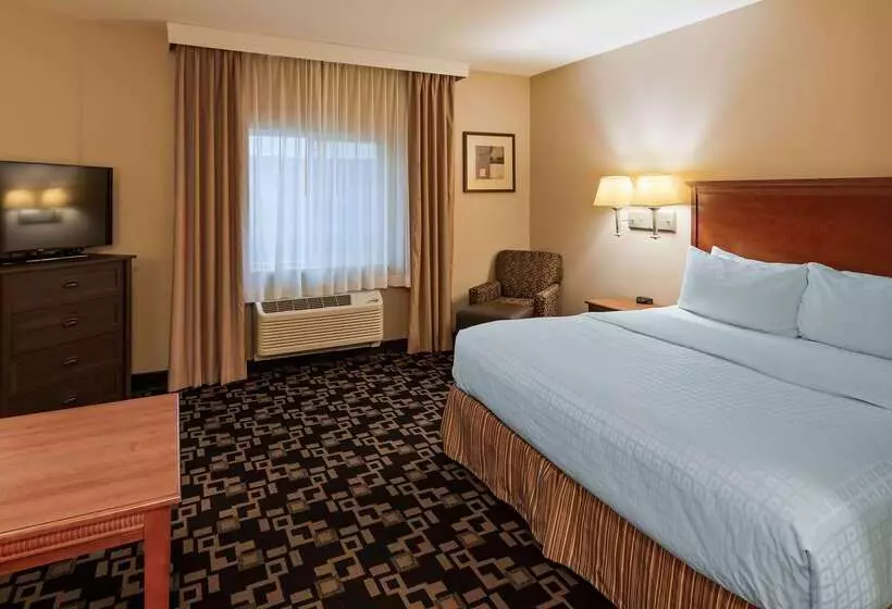 ホテル Best Western Plus Wausau Rothschild