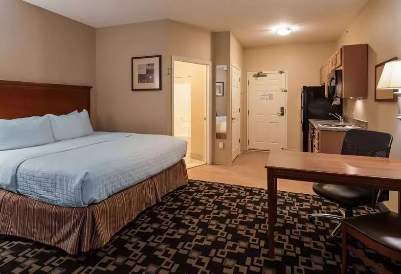 ホテル Best Western Plus Wausau Rothschild