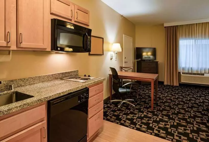 ホテル Best Western Plus Wausau Rothschild