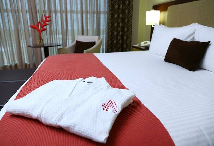 Hotel Ciudad De David