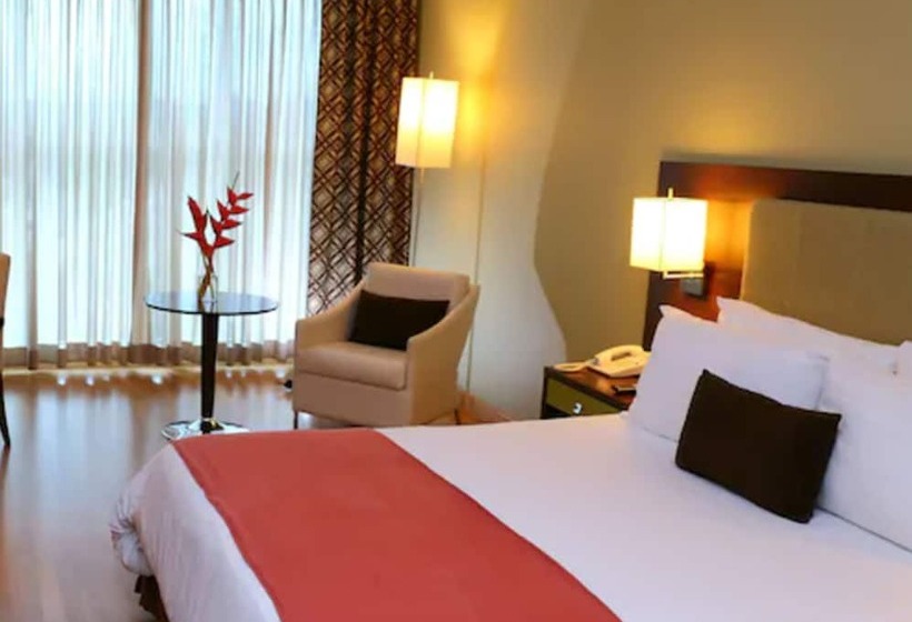 Hotel Ciudad De David