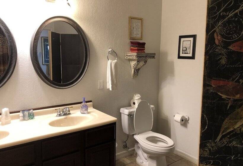 ホテル Echo Canyon Spa Resort