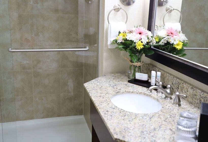 فندق Embassy Suites By Hilton Nashville At Vanderbilt