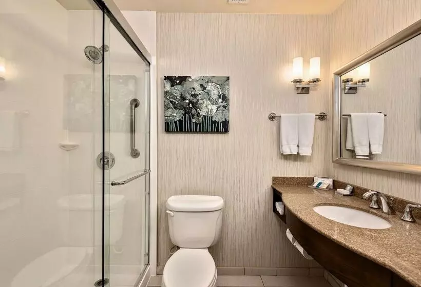 Hotel Hilton Garden Inn Overland Park