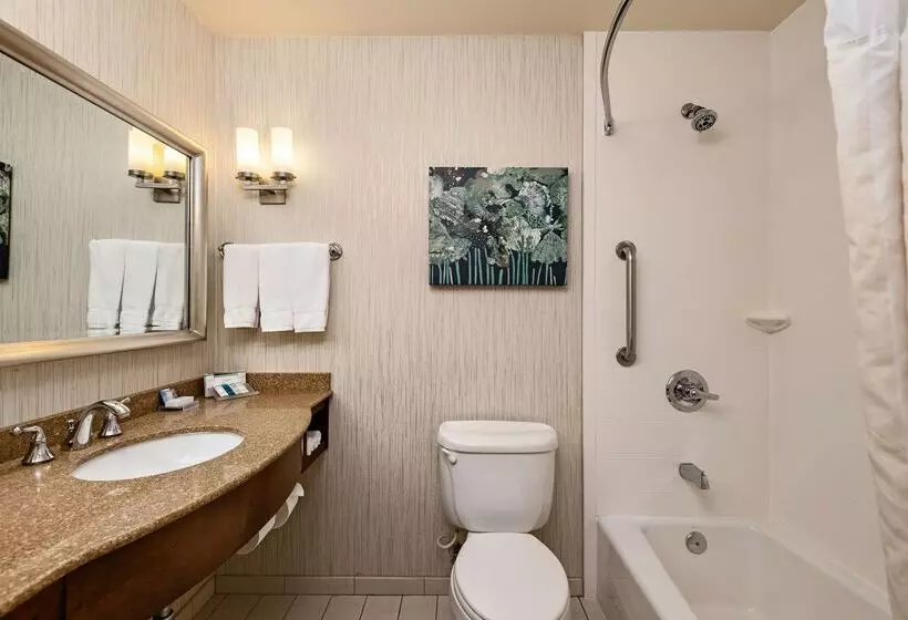 Hotel Hilton Garden Inn Overland Park