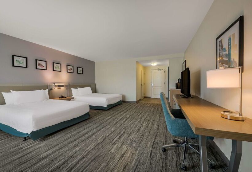 فندق Hilton Garden Inn Rockford