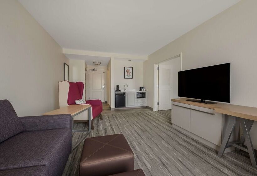 فندق Hilton Garden Inn Rockford