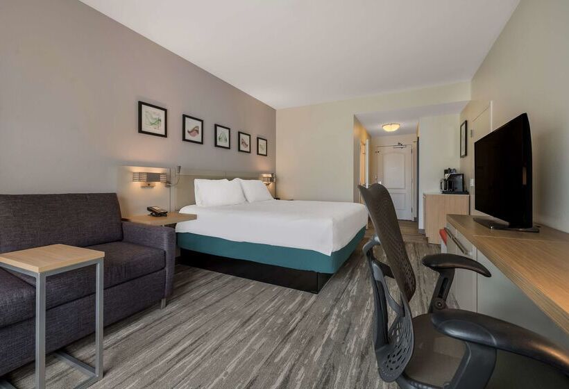 فندق Hilton Garden Inn Rockford