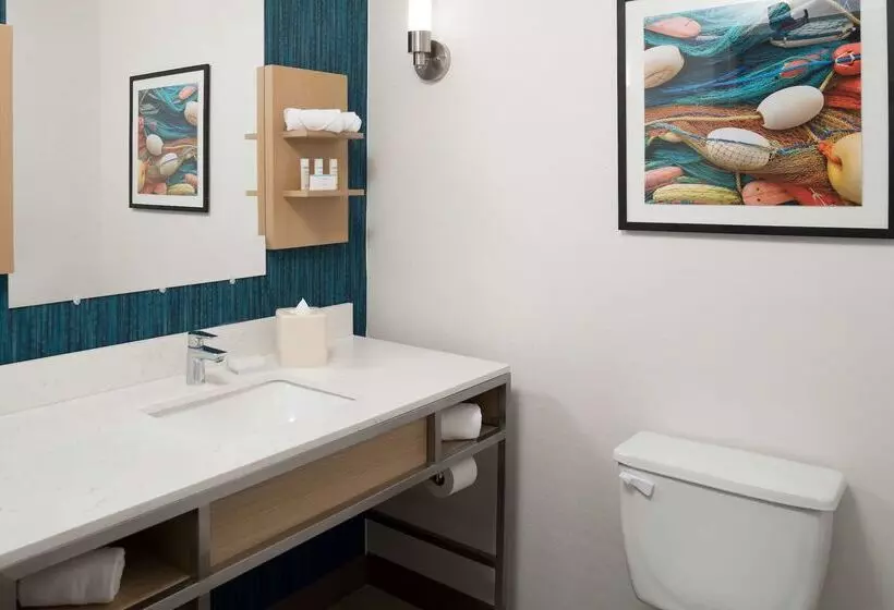 هتل Hilton Garden Inn Sioux City Riverfront