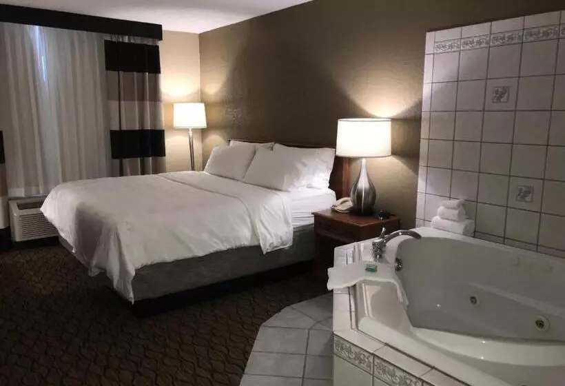 酒店 Holiday Inn Alexandria, An Ihg