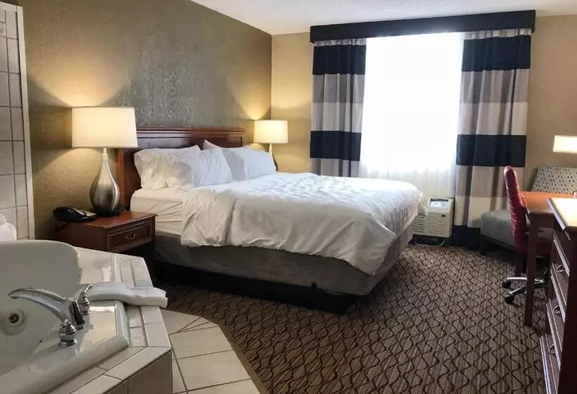 酒店 Holiday Inn Alexandria, An Ihg