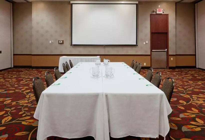 酒店 Holiday Inn Alexandria, An Ihg