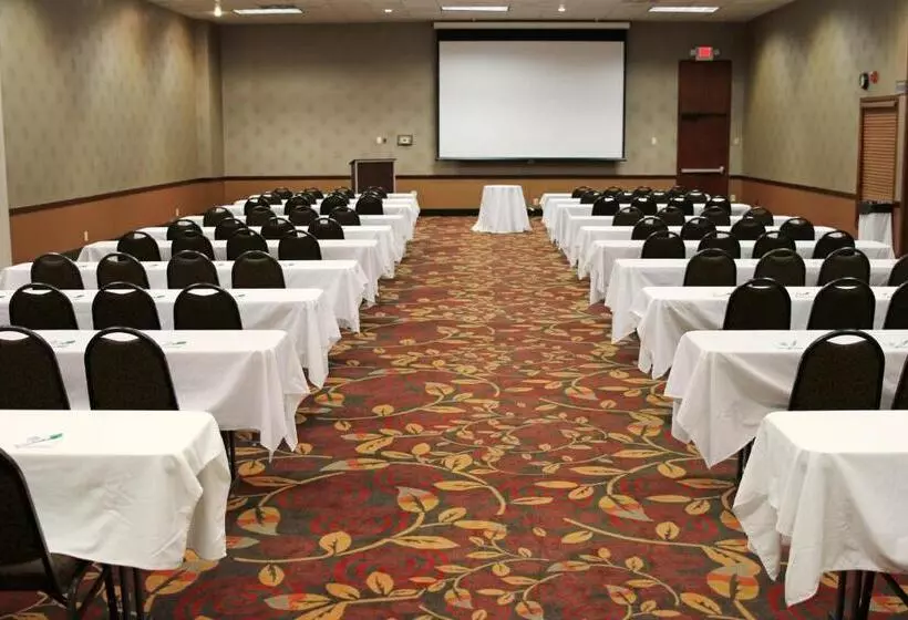 酒店 Holiday Inn Alexandria, An Ihg