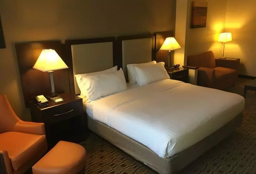 호텔 Holiday Inn Express & Suites Albermarle By Ihg