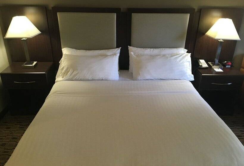 فندق Holiday Inn Express & Suites Albermarle By Ihg