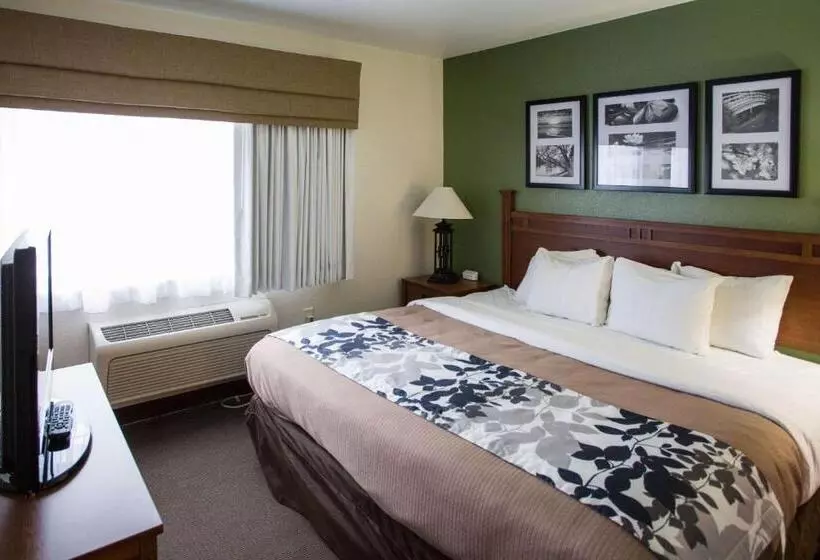 酒店 Sleep Inn & Suites Conference Center