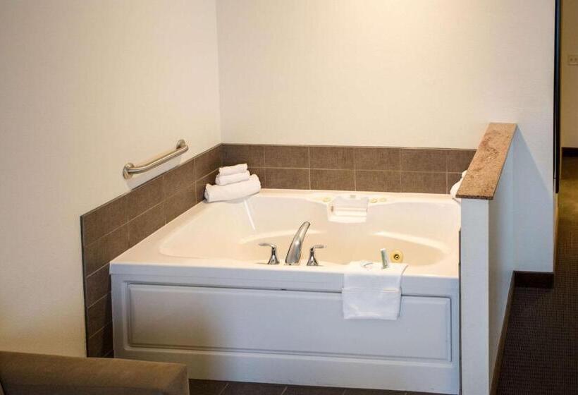 호텔 Sleep Inn & Suites Conference Center