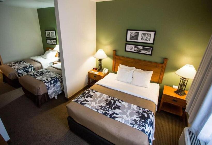 호텔 Sleep Inn & Suites Conference Center