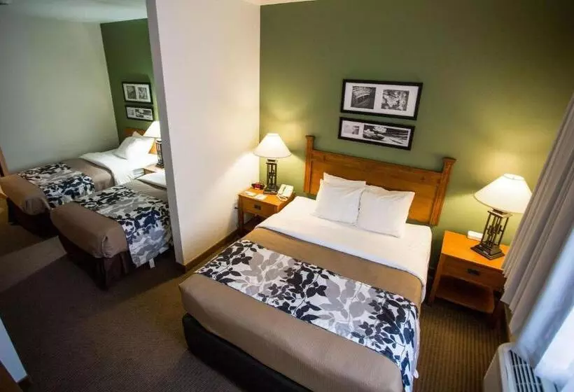 酒店 Sleep Inn & Suites Conference Center