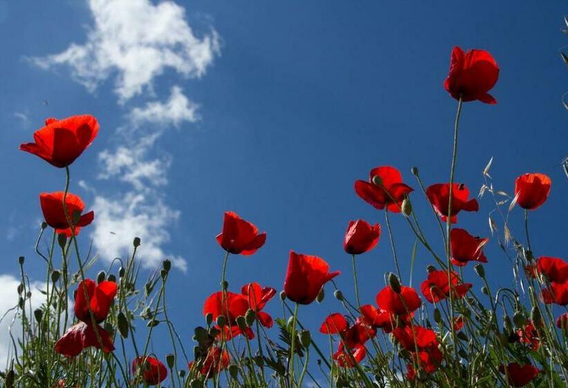Bed and Breakfast La Colombiere Du Château