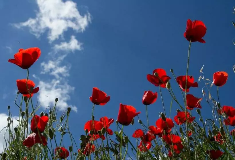 Aamiaismajoitus (B&B) La Colombiere Du Château